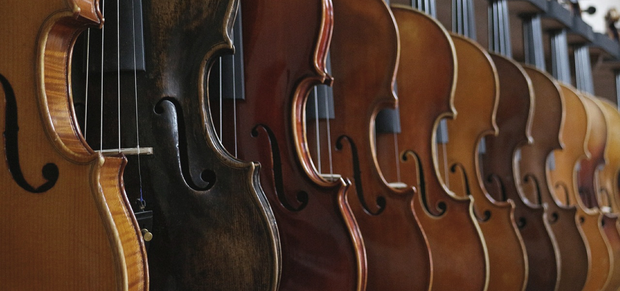 Plusieurs violons un à côté de l'autre.